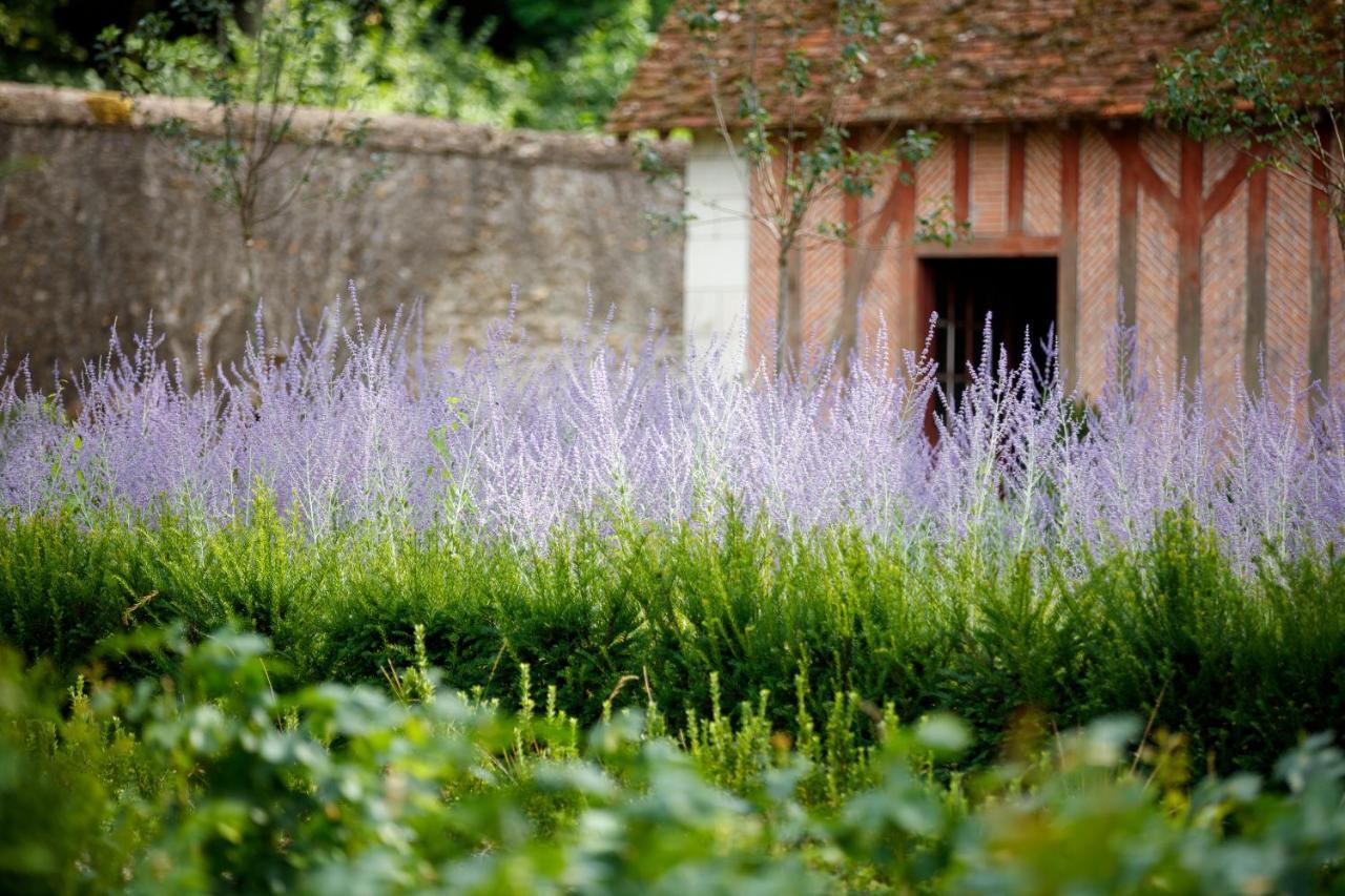 Château Louise de La Vallière Reugny Exterior foto