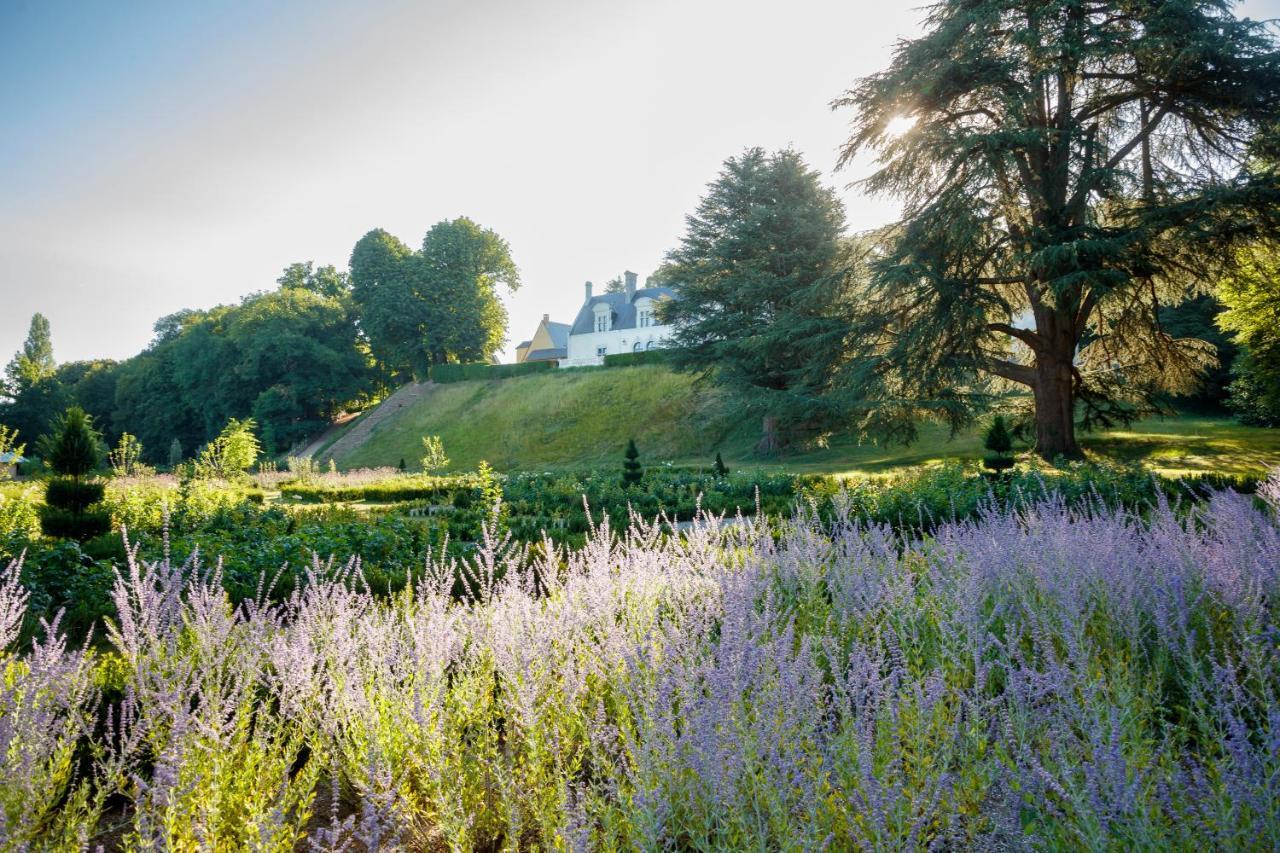 Château Louise de La Vallière Reugny Exterior foto