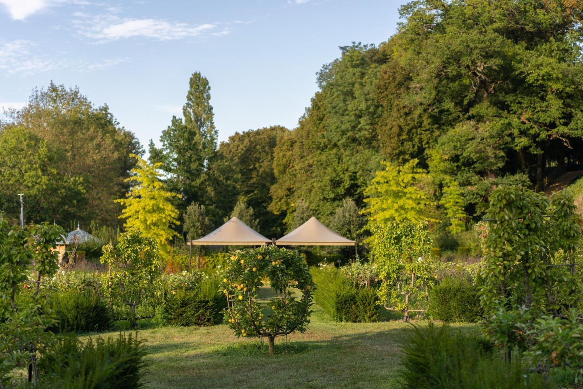 Château Louise de La Vallière Reugny Exterior foto