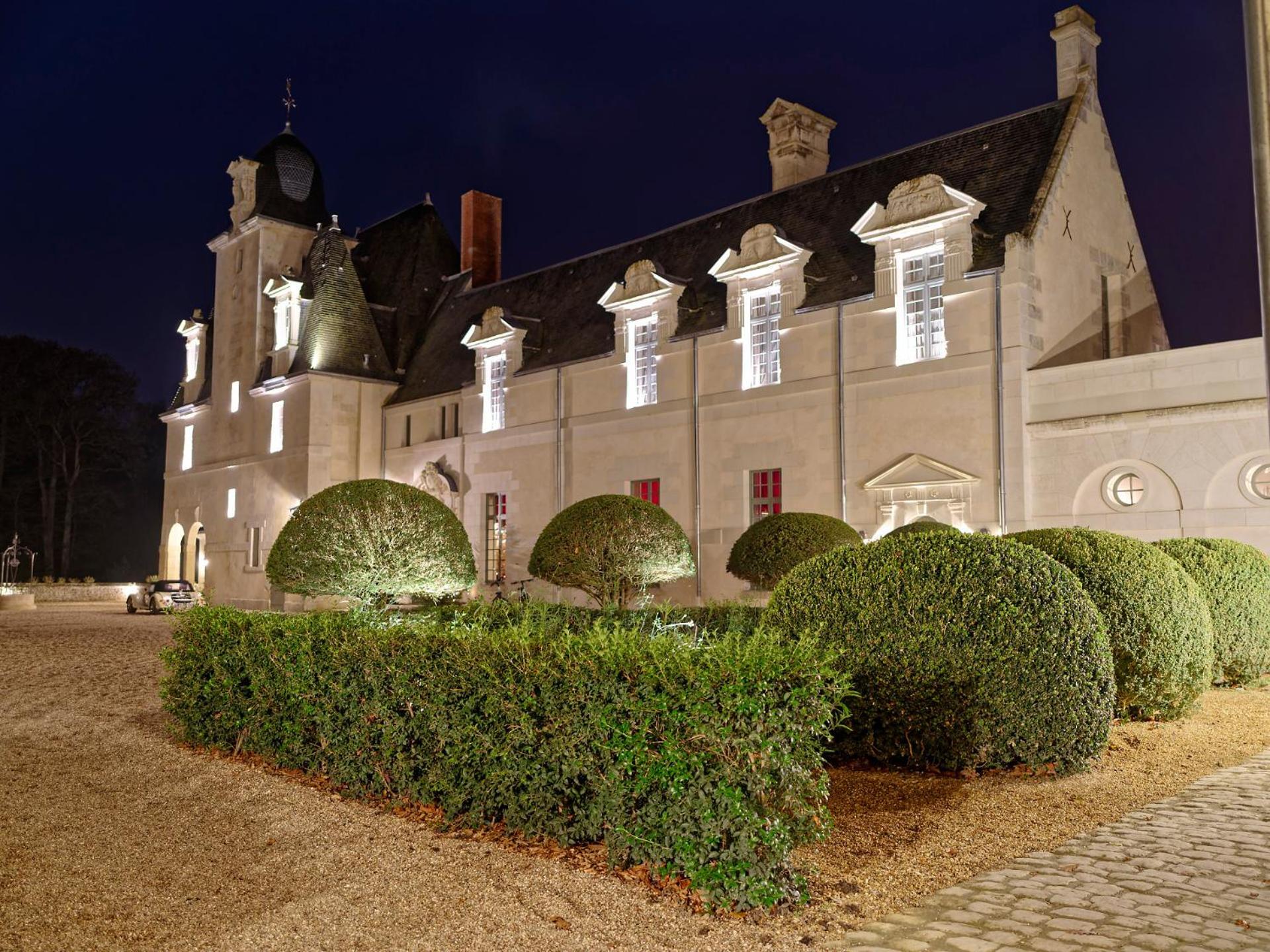 Château Louise de La Vallière Reugny Exterior foto